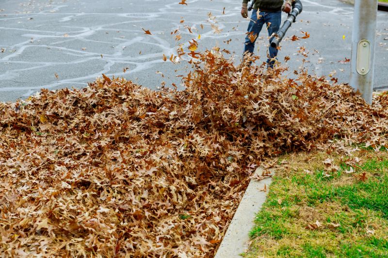 Leaf Vaccumming