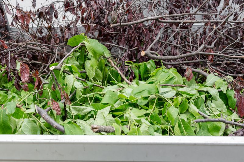 Tree Branch Disposal in Ventura County, CA